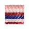 10" Border Stripe Metallic Mesh Ribbon: Red/White/Blue (10 Yards)